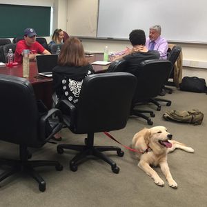 Image post by @umsoc on Instagram