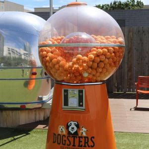 Image post by @dogstersicecream on Instagram