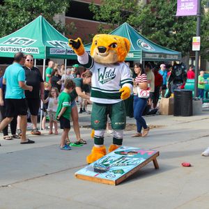 Image post by @IAWild on Twitter