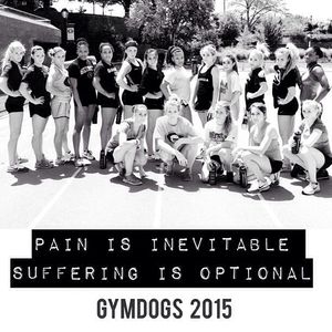 Image post by @ugagymnastics on Instagram