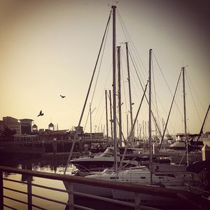 Image post by @sophieb on Instagram