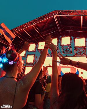 Image post by @beyondwland on Instagram