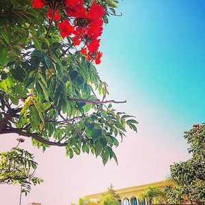 Image post by @uscdornsife on Instagram