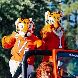 Image post by @thetiger_cu on Instagram