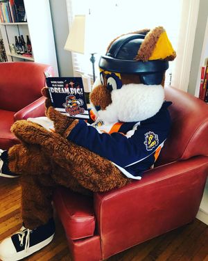 Image post by @swamprabbits on Instagram