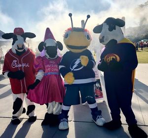 Image post by @thunderbugtbl on Instagram