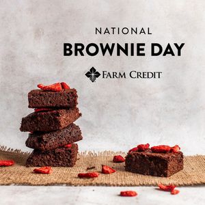 Image post by @farmcredit on Instagram