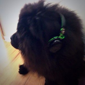 Image post by @razer on Instagram