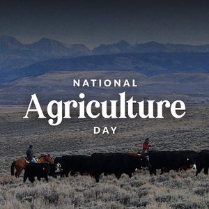 Image post by @replizcheney on Instagram