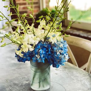 Image post by @shopbachmans on Instagram