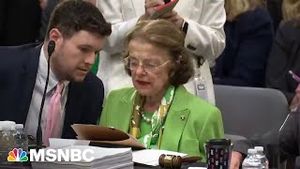 Video post by @msnbc on YouTube