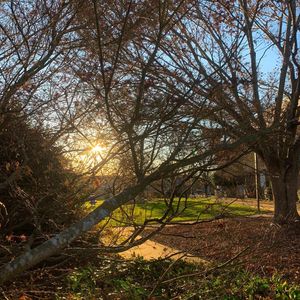 Image post by @swu_edu on Instagram