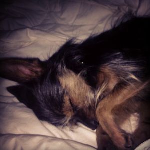 Image post by @tristalynkint on Instagram