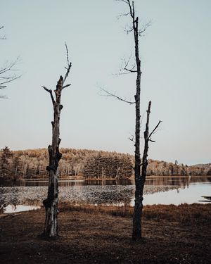 Image post by @kpearsonmedia on Instagram