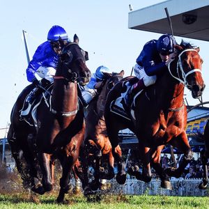 Image post by @australianturfclub on Instagram