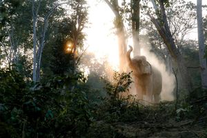 Image post by @natgeo on Instagram