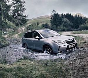 Image post by @schompsubaru on Instagram