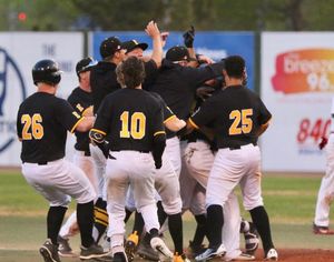 Image post by @edmprospects on Instagram