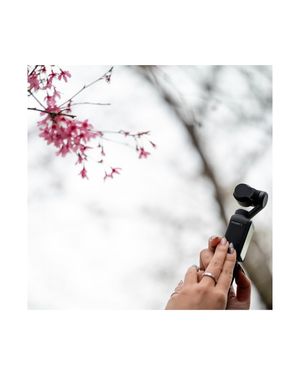 Image post by @bwillschcreative on Instagram