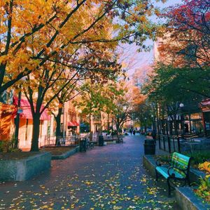 Image post by @uiowa on Instagram