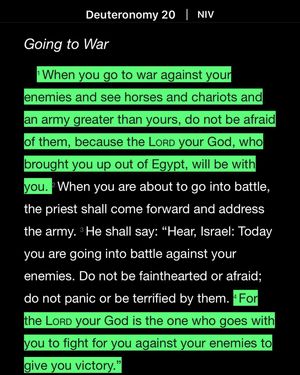 Image post by @nickahmed13 on Instagram