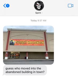 Image post by @spirithalloween on Instagram