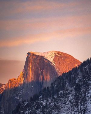 Image post by @theryan_reynolds on Instagram