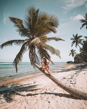 Image post by @belowthesamesun on Instagram