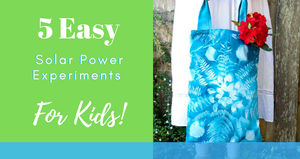 Image post by @DolphinSolarProject on Facebook