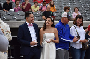 Image post by @thechicagodogs on Instagram
