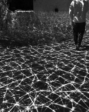 Image post by @_dr_woo_ on Instagram