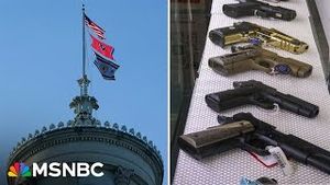 Video post by @msnbc on YouTube