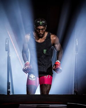 Image post by @bellatormma on Instagram