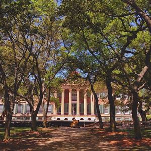 Image post by @collegeofcharleston on Instagram