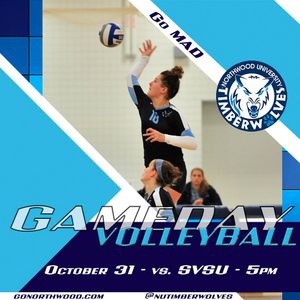 Image post by @nutimberwolves on Instagram