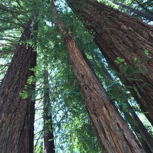 Image post by @ucsc on Instagram