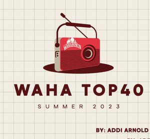 Image post by @campwaha on Instagram
