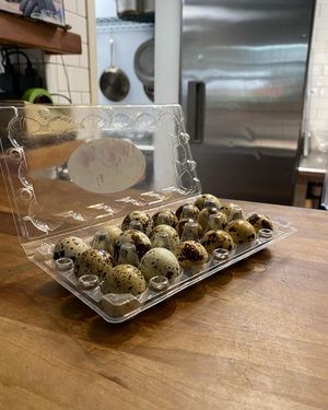 Image post by @terzompls on Instagram