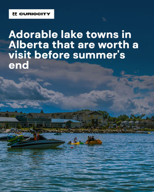 Image post by @curiocitycalgary on Instagram