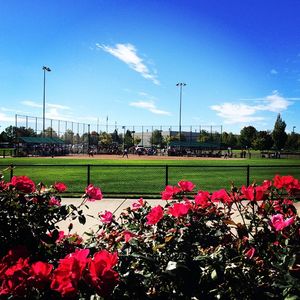 Image post by @psuvikssb on Instagram