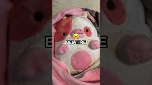 Video post by @shopzoki on YouTube