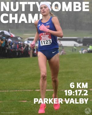 Image post by @dyestat on Instagram