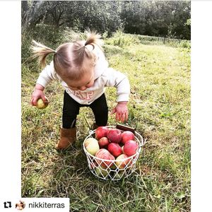 Image post by @fargoparks on Instagram