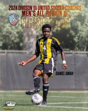 Image post by @gopetrels on Instagram