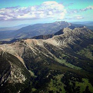 Image post by @msubobcatskiing on Instagram