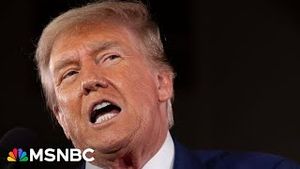 Video post by @msnbc on YouTube