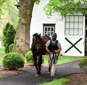 Image post by @spendthriftfarm on Instagram