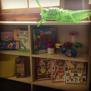 Image post by @kidsgardening on Instagram