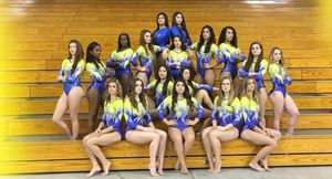 Image post by @sanjosestategym on Instagram