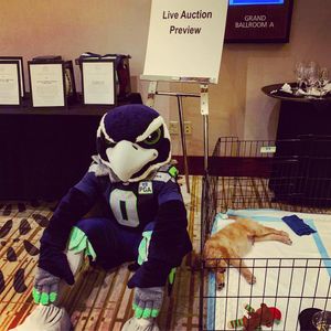 Image post by @blitztheseahawk on Instagram